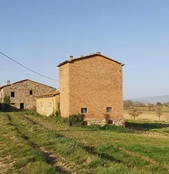 Foto annuncio 6