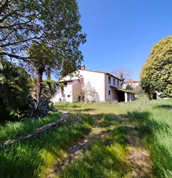 Foto annuncio 4
