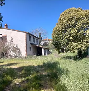Foto annuncio 6