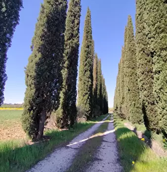 Foto annuncio 22