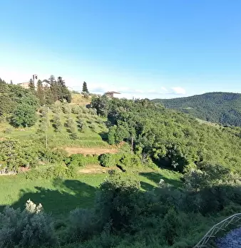 Foto annuncio 8