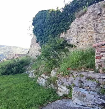 Foto annuncio 13