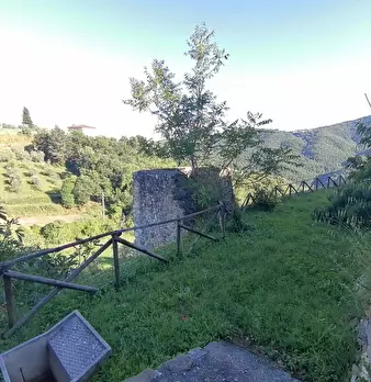 Foto annuncio 14