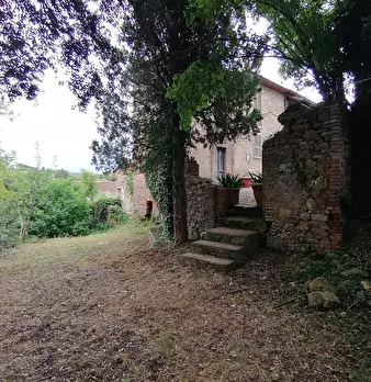 Foto annuncio 5