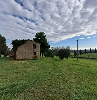 Foto annuncio 4