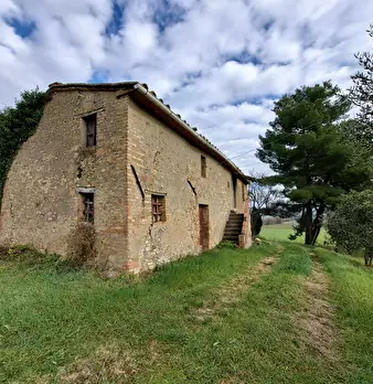 Foto annuncio 6