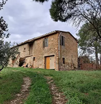Foto annuncio 2