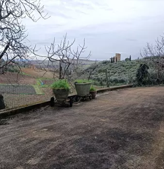 Foto annuncio 9