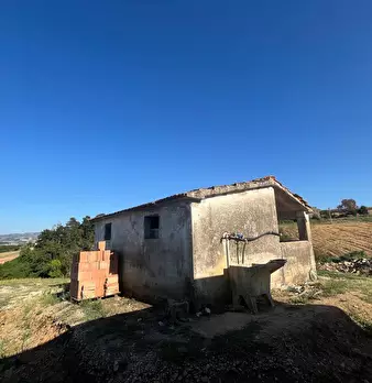 Foto annuncio 11