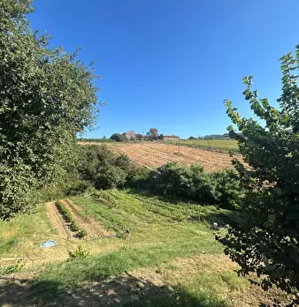 Foto annuncio 12
