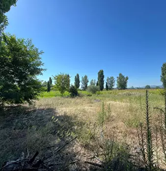 Foto annuncio 12