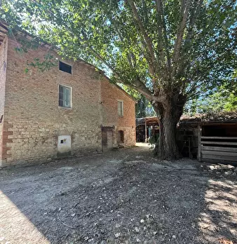 Foto annuncio 10