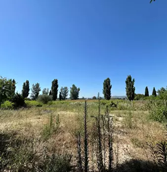 Foto annuncio 15