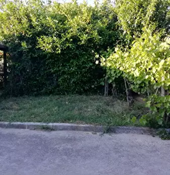 Foto annuncio 5