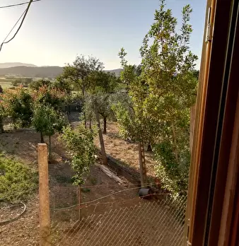 Foto annuncio 6