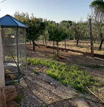 Foto annuncio 7