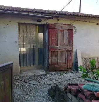 Foto annuncio 9