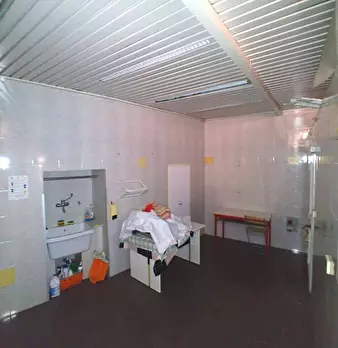 Foto annuncio 5