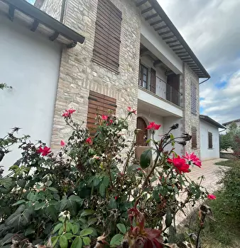 Foto annuncio 5