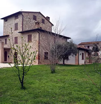 Foto annuncio 7