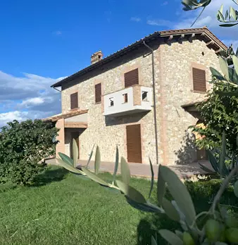 Foto annuncio 10
