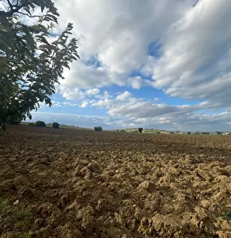Foto annuncio 49