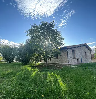 Foto annuncio 10