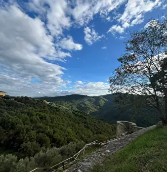 Foto annuncio 10
