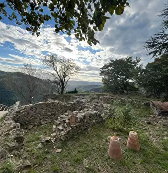 Foto annuncio 22