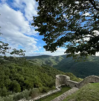 Foto annuncio 25