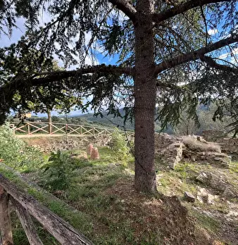 Foto annuncio 26
