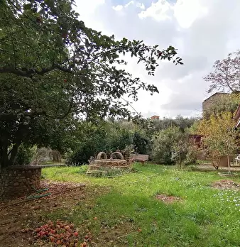 Foto annuncio 36