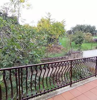 Foto annuncio 24