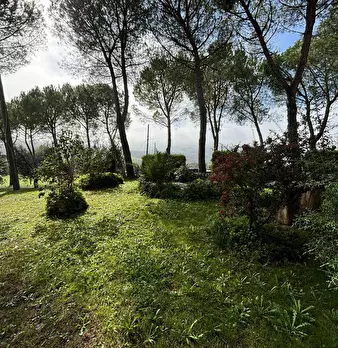 Foto annuncio 4