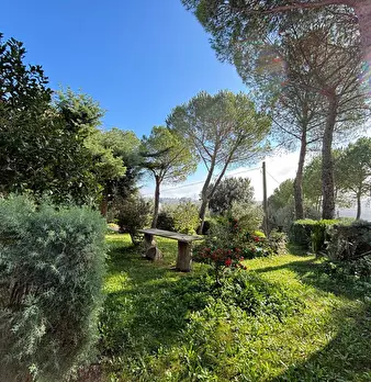 Foto annuncio 4