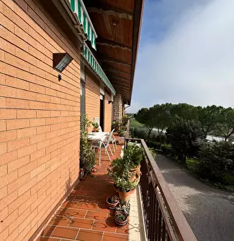 Foto annuncio 29