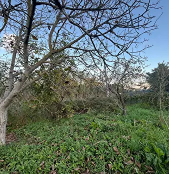 Foto annuncio 33