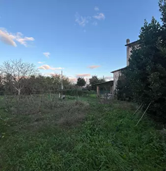 Foto annuncio 31