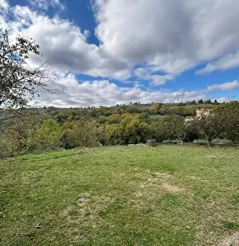 Foto annuncio 12