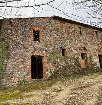 Foto annuncio 1