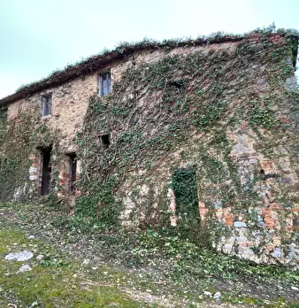 Foto annuncio 3