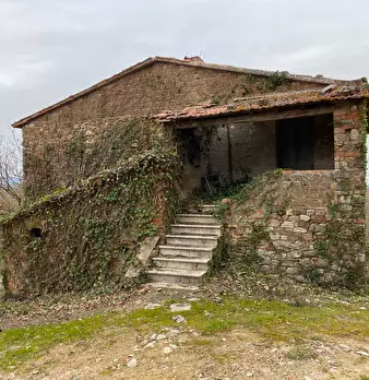 Foto annuncio 4
