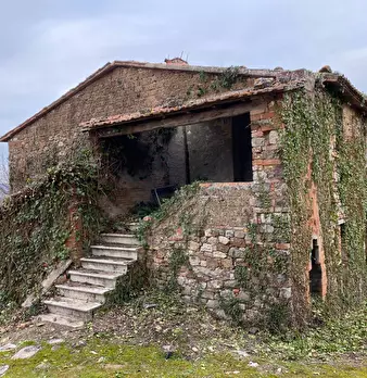 Foto annuncio 5