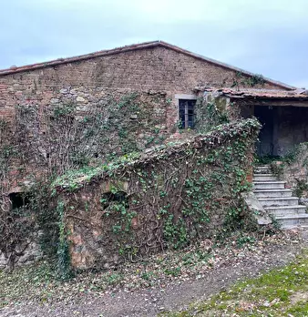 Foto annuncio 6