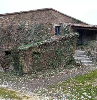 Foto annuncio 7