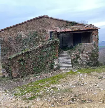 Foto annuncio 8