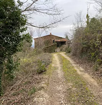 Foto annuncio 9