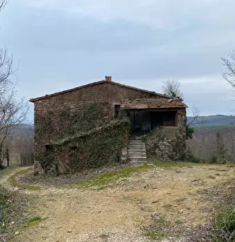 Foto annuncio 10