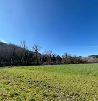 Foto annuncio 13
