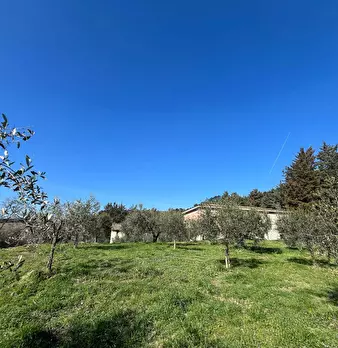 Foto annuncio 16